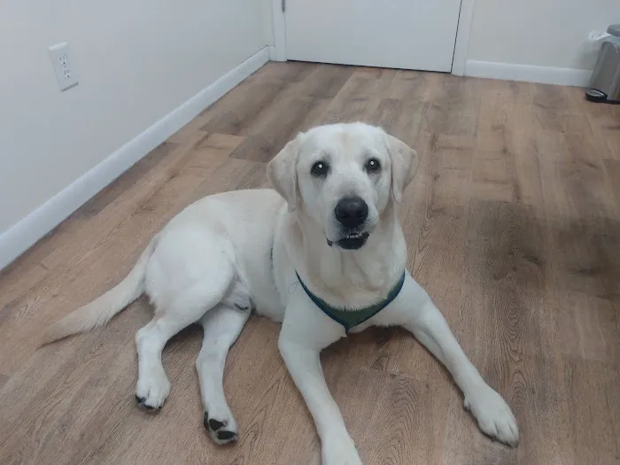 Ferstl Veterinary Hospital 4