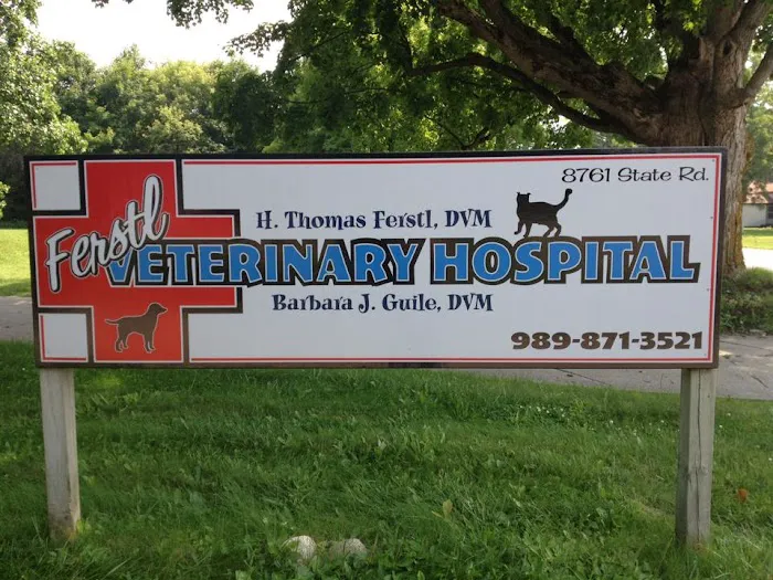 Ferstl Veterinary Hospital 1