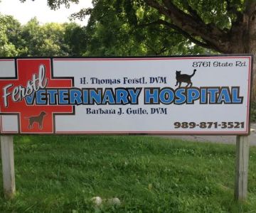 Ferstl Veterinary Hospital
