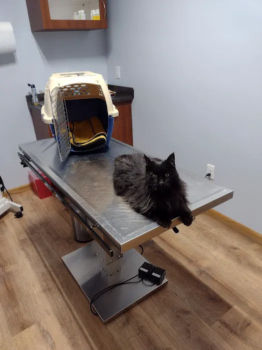 Ferstl Veterinary Hospital 5