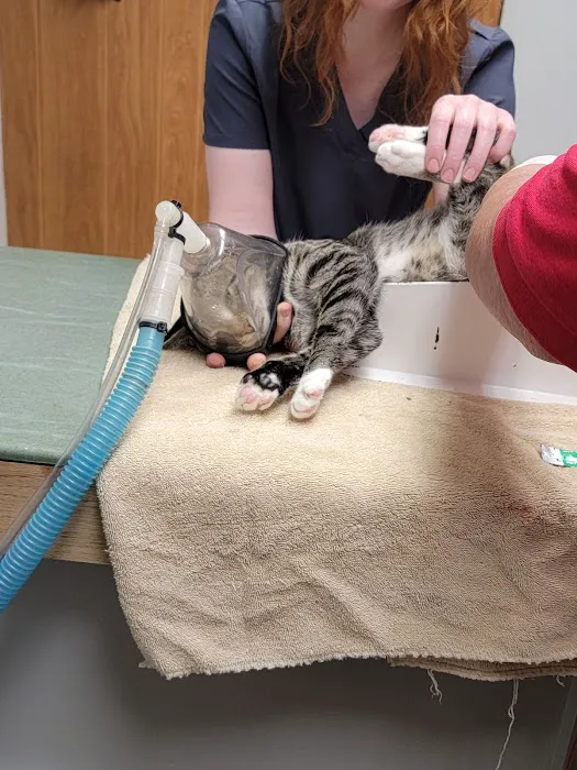 Vassar Veterinary 9