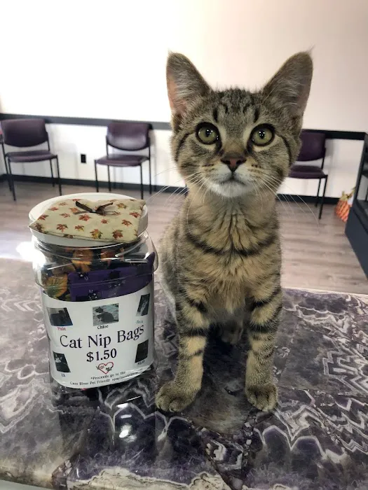 4-Paws Veterinary Clinic 7