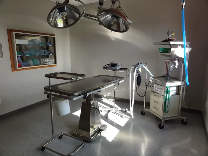 Frankenmuth - Birch Run Veterinary Hospital 4