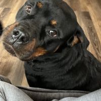 Mayville Veterinary Clinic ico