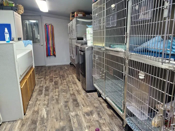 Mayville Veterinary Clinic 10
