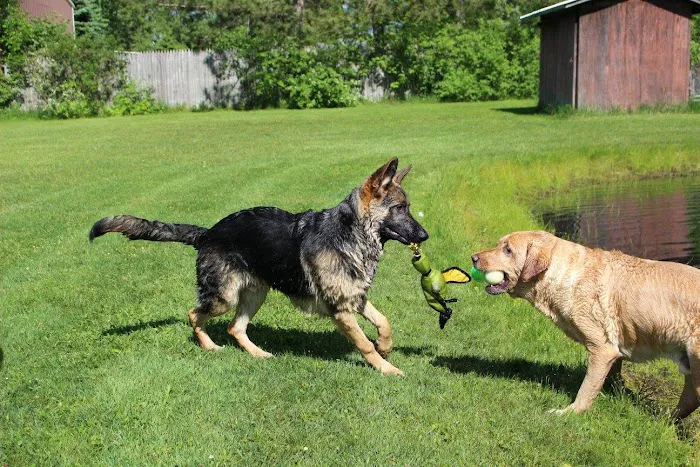 Mayville Veterinary Clinic 3