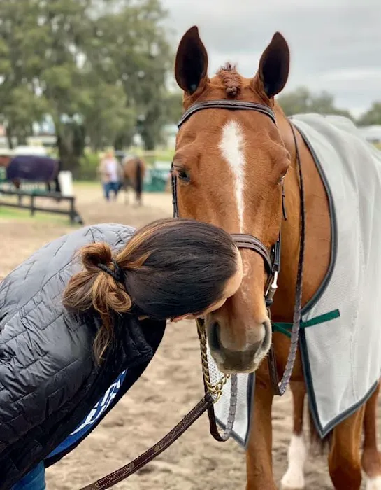 Four Winds Farm & Equine Hospital 4