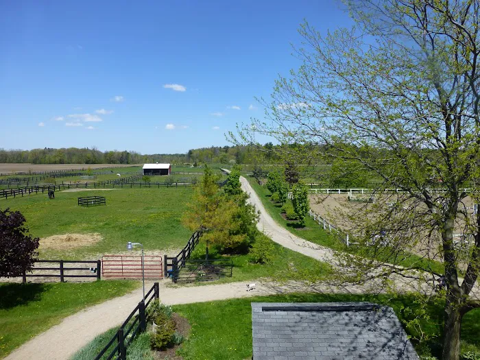Four Winds Farm & Equine Hospital 9