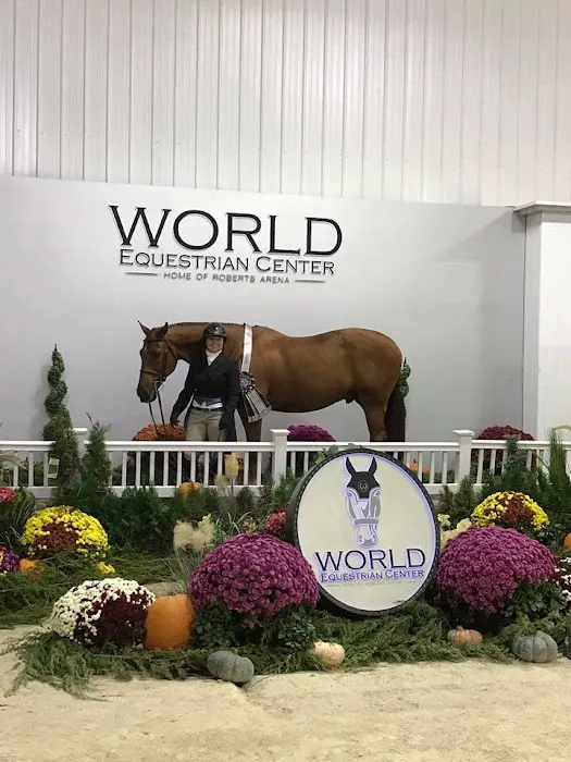 Four Winds Farm & Equine Hospital 8