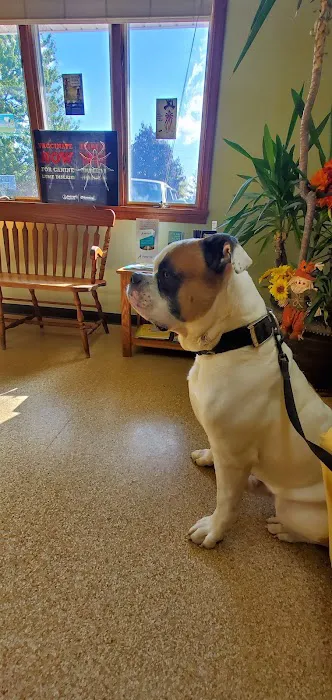 Caro Veterinary Clinic 3