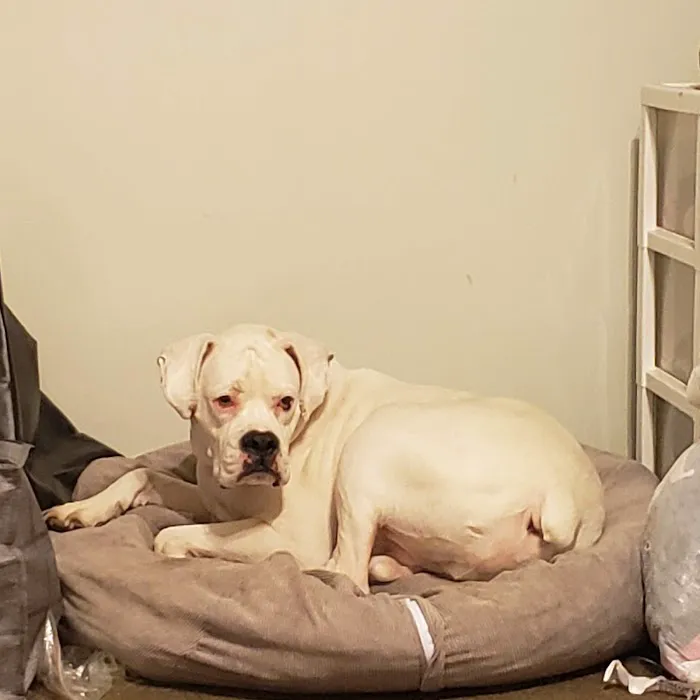 Caro Veterinary Clinic 8