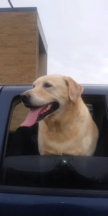 Maple Grove Veterinary Clinic & Pet Retreat 1