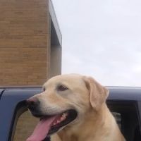 Maple Grove Veterinary Clinic & Pet Retreat ico