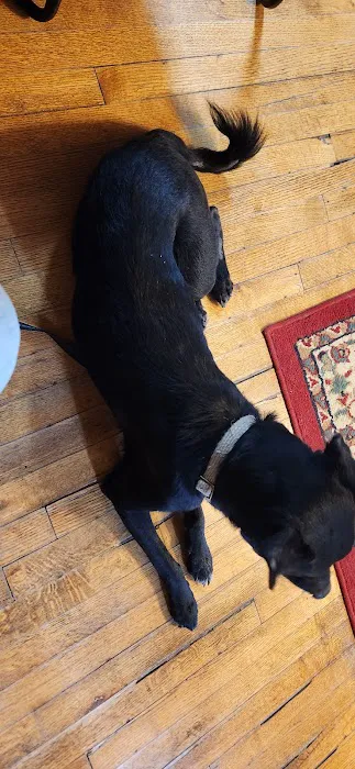 Maple Grove Veterinary Clinic & Pet Retreat 3