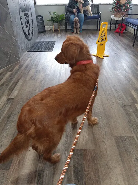 Fohey Veterinary Hospital 10