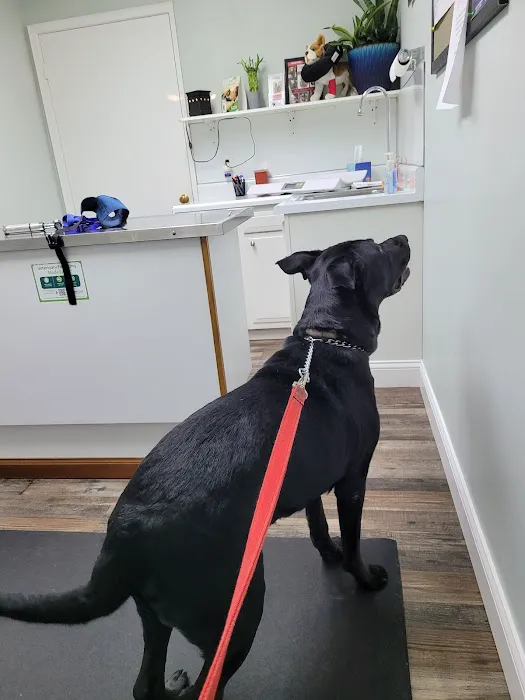 Fohey Veterinary Hospital 7