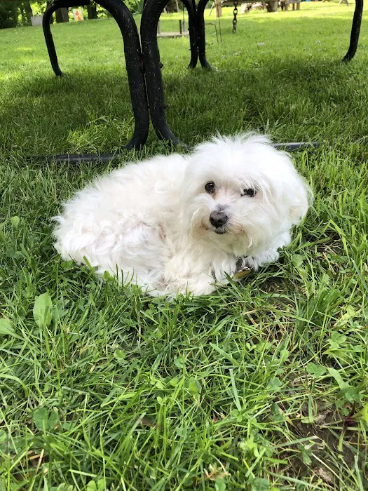 Clio Animal Hospital 6