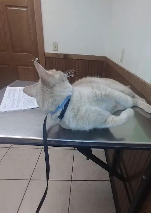 Laursen Veterinary Service 8