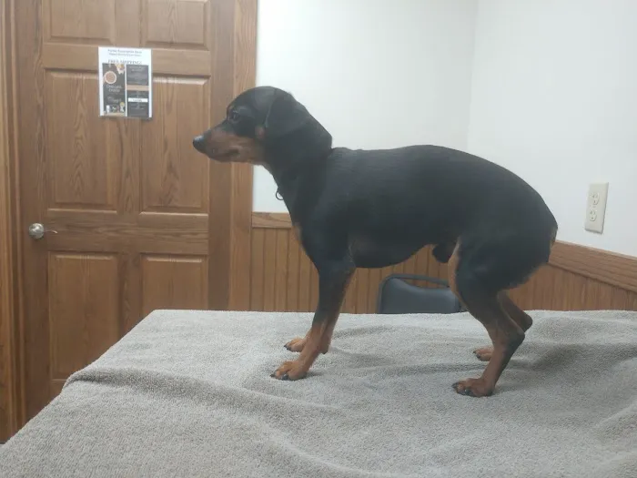 Laursen Veterinary Service 6