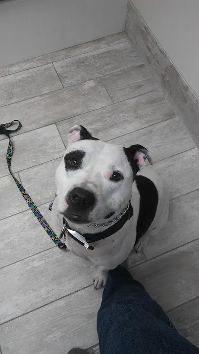 Mayfair Animal Hospital 2