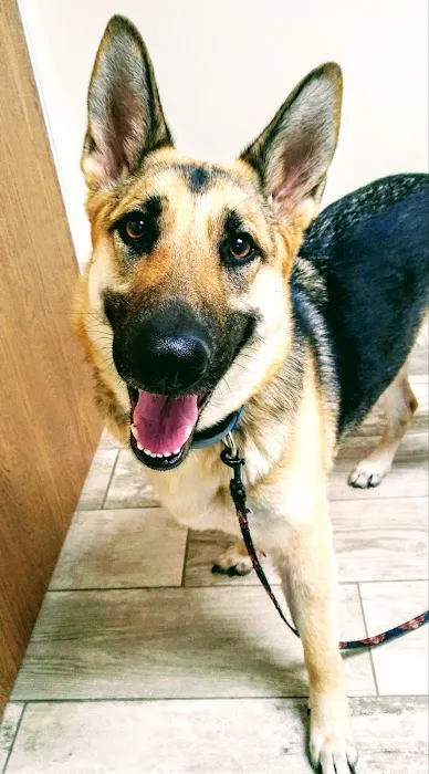 Mayfair Animal Hospital 3