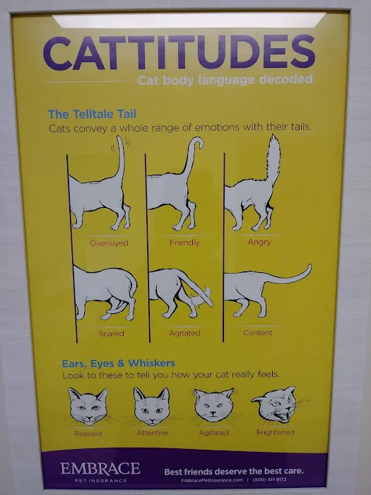 Mayfair Animal Hospital 1