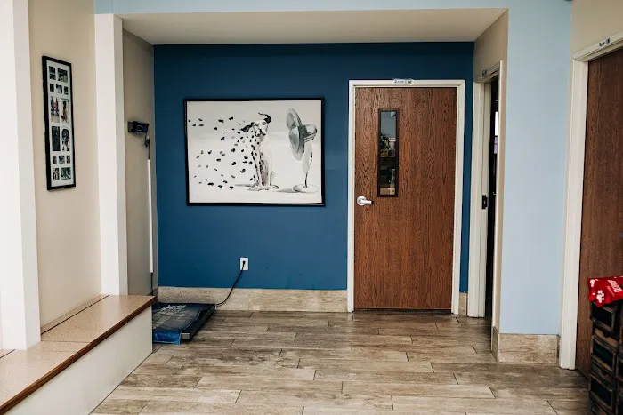 Mayfair Animal Hospital 4