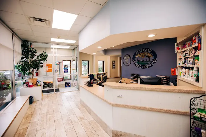 Mayfair Animal Hospital 5
