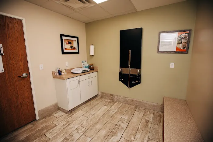 Mayfair Animal Hospital 8