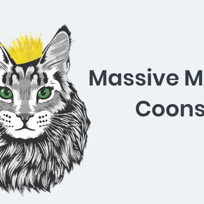 Massive Maine Coons 6