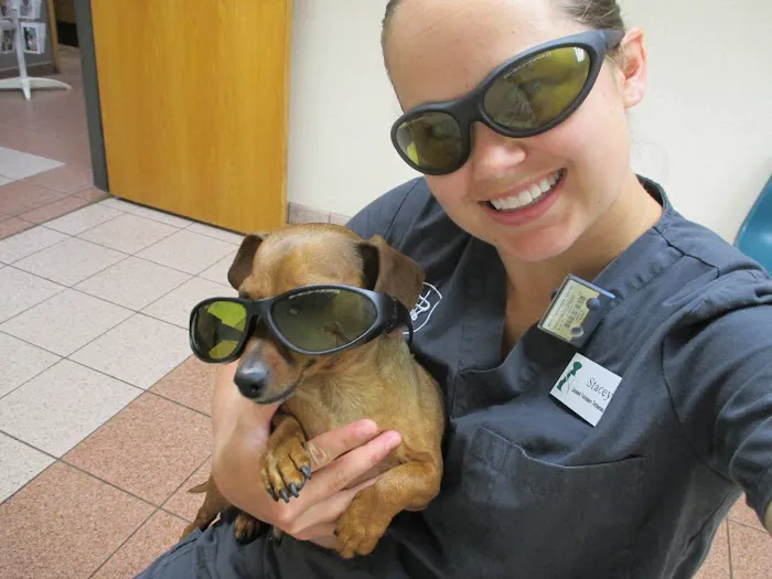 Veterinary Rehabilitation and Fitness 9