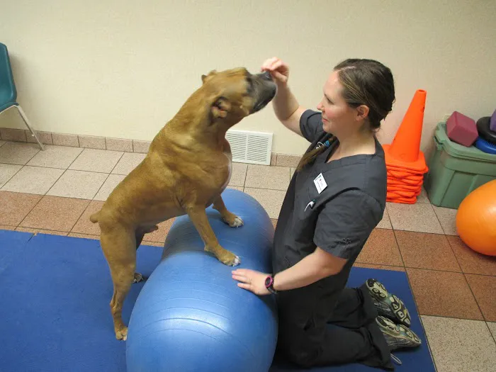 Veterinary Rehabilitation and Fitness 5