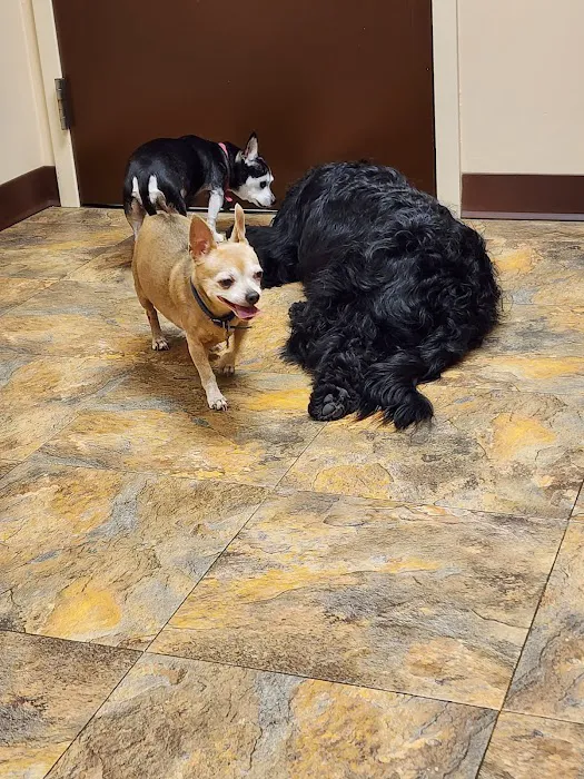 Hart Animal Hospital *Dr. Daniel Hart*Dr. Noah Wolinski 6