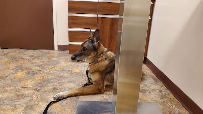 Hart Animal Hospital *Dr. Daniel Hart*Dr. Noah Wolinski 5