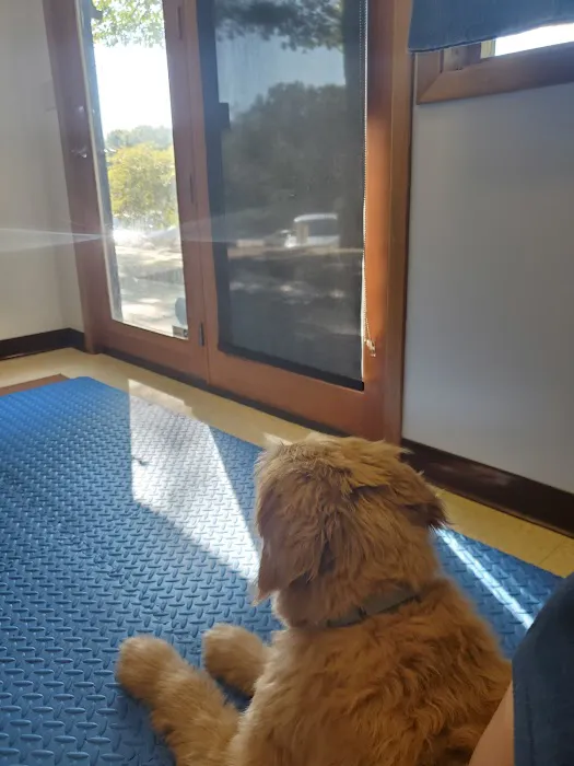 Northland Animal Hospital 12