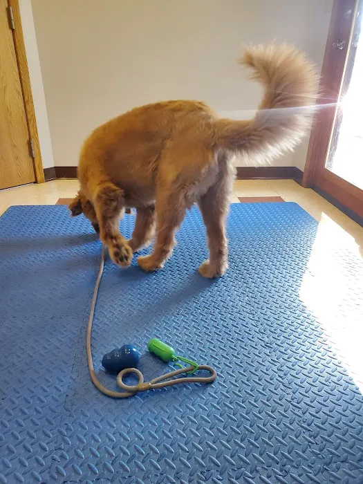 Northland Animal Hospital 12