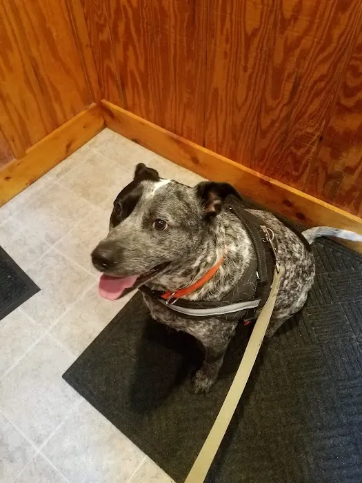 Oak Grove Veterinary Clinic 2