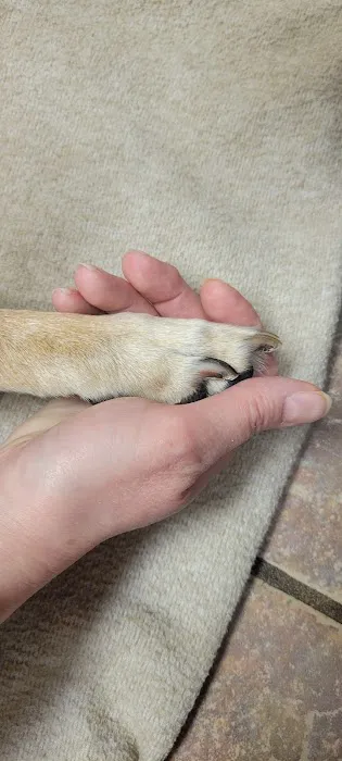 Fremont Animal Hospital 6