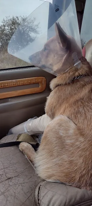 Fremont Animal Hospital 4