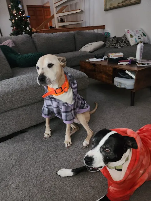 Fremont Animal Hospital 5