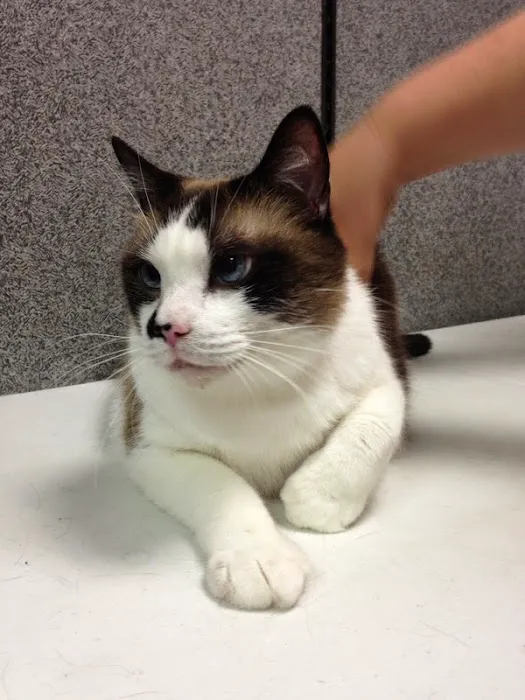Animal Wellness Center of White Cloud 3