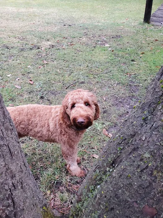 Animal Wellness Center of White Cloud 2