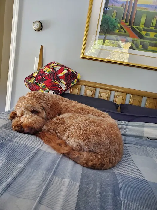 Animal Wellness Center of White Cloud 8