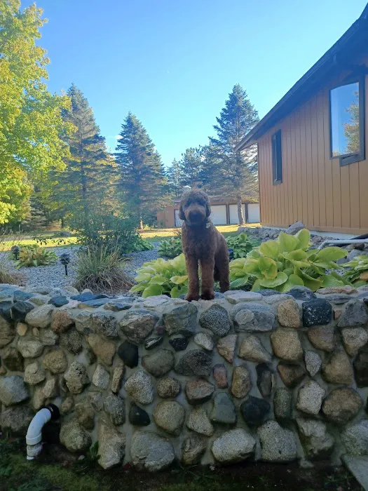 Animal Wellness Center of White Cloud 7