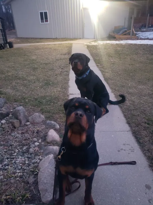 Beisinger Veterinary Services 5