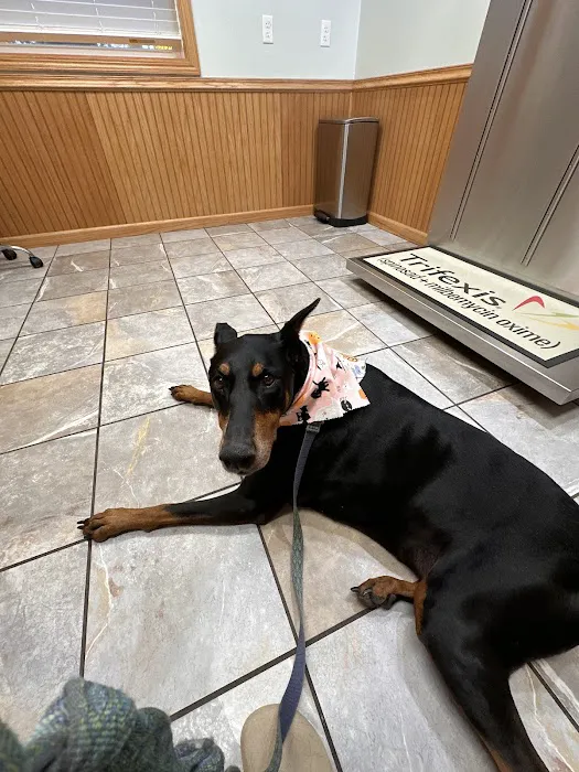 Howard City Veterinary Services 2