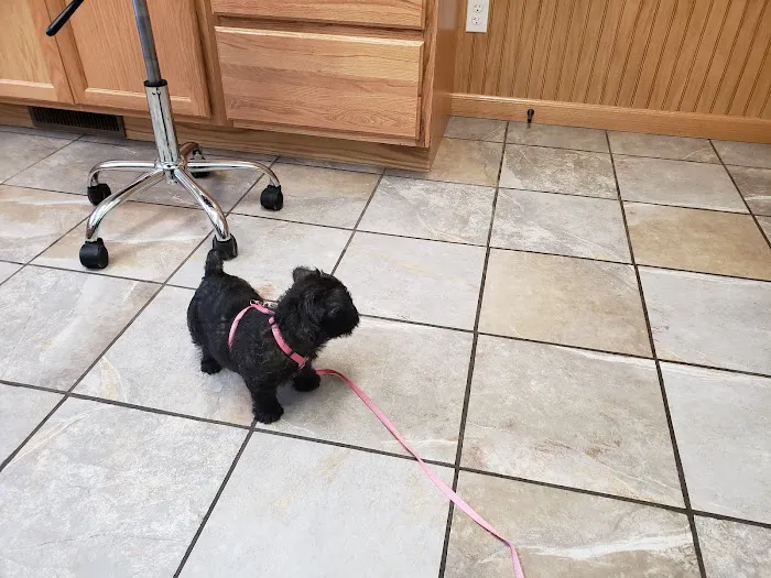Howard City Veterinary Services 9