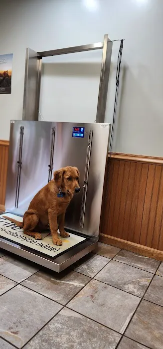 Howard City Veterinary Services 1