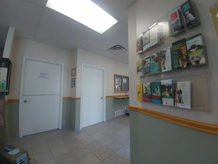 Animal Hospital of Ludington 3