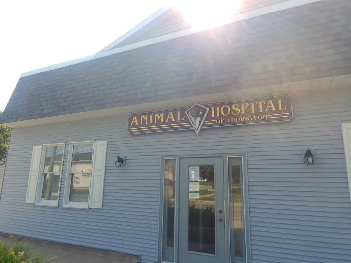 Animal Hospital of Ludington 9